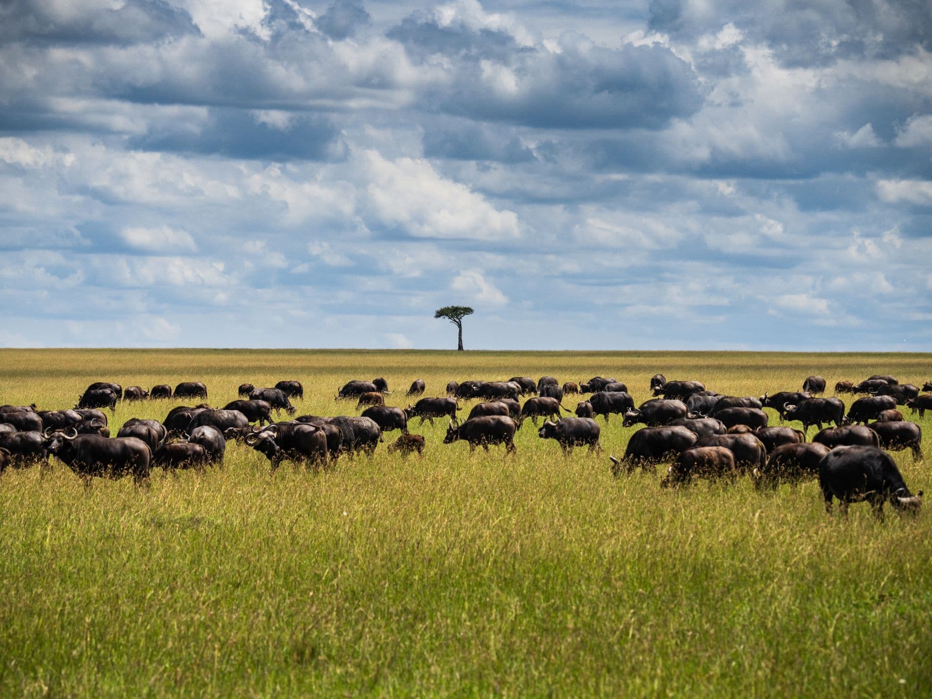 Tanzania